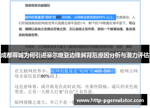 成都蓉城为何引进塞尔维亚边锋其背后原因分析与潜力评估