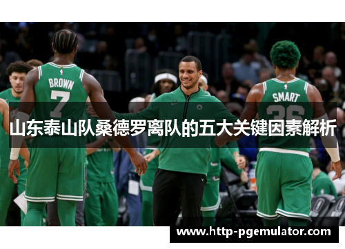 山东泰山队桑德罗离队的五大关键因素解析