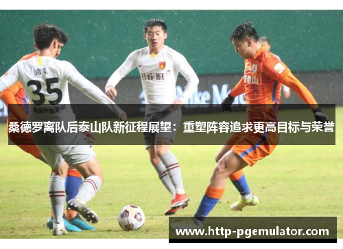桑德罗离队后泰山队新征程展望：重塑阵容追求更高目标与荣誉