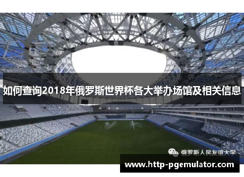 如何查询2018年俄罗斯世界杯各大举办场馆及相关信息