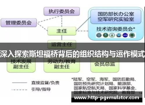 深入探索斯坦福桥背后的组织结构与运作模式