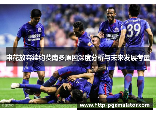 申花放弃续约费南多原因深度分析与未来发展考量