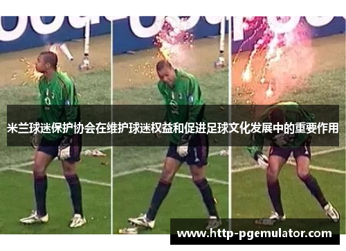 米兰球迷保护协会在维护球迷权益和促进足球文化发展中的重要作用