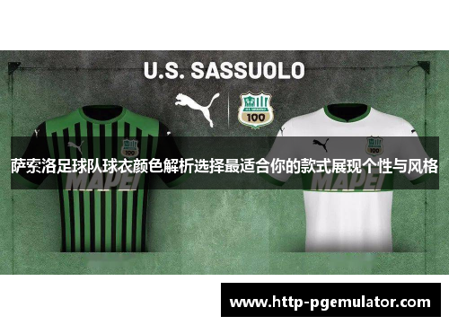 萨索洛足球队球衣颜色解析选择最适合你的款式展现个性与风格