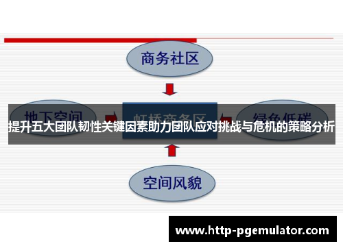 提升五大团队韧性关键因素助力团队应对挑战与危机的策略分析