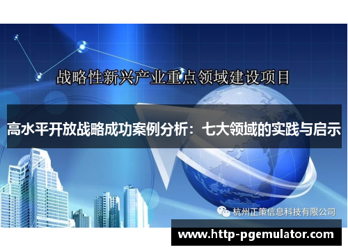 高水平开放战略成功案例分析：七大领域的实践与启示