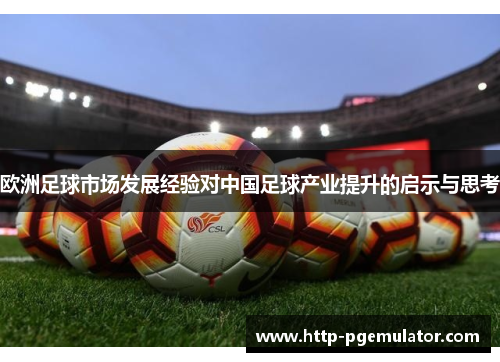 欧洲足球市场发展经验对中国足球产业提升的启示与思考